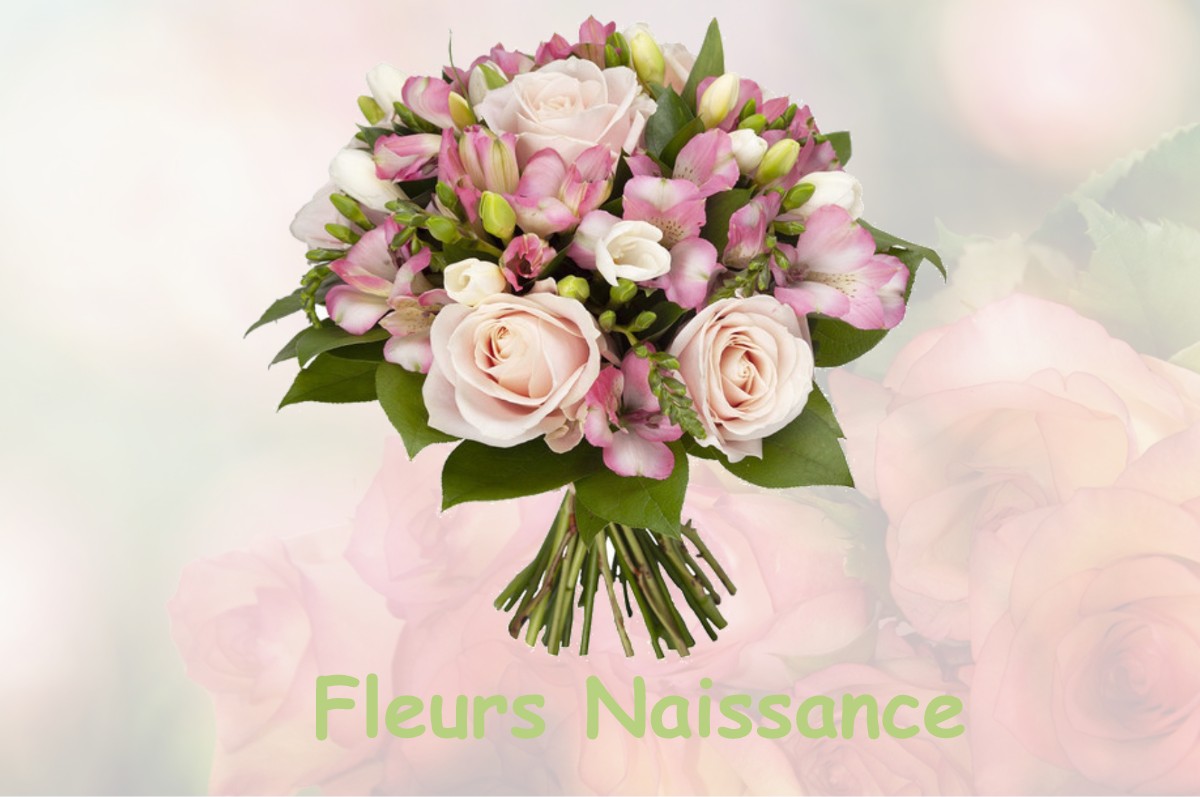 fleurs naissance THOIRIA