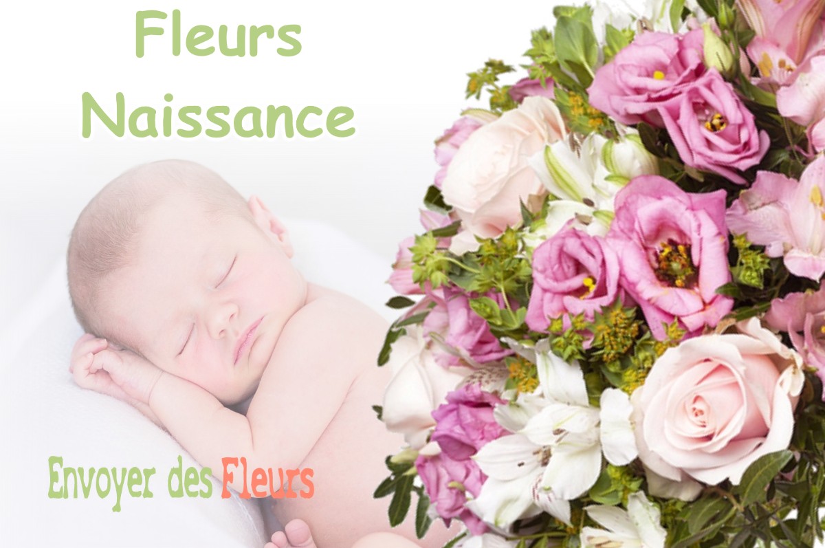 lIVRAISON FLEURS NAISSANCE à THOIRIA